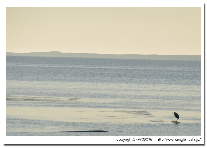 サロマ湖、キムアネップ岬とその散策路から見る湖面、傾く陽射しとアオサギ（北海道佐呂間町）