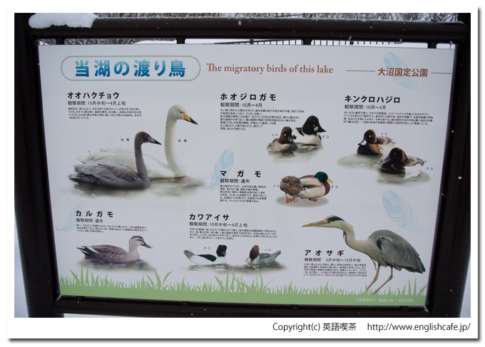 大沼国定公園の白鳥台セバットの案内板（北海道七飯町）