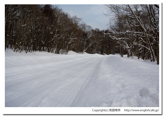 大沼国定公園の白鳥台セバット、大沼湖畔（北海道七飯町）