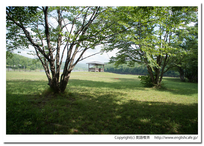 聖台ダム、ダム公園の緑と東屋（北海道美瑛町）