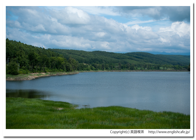 聖台ダム、聖台ダムのダム湖、アップで（北海道美瑛町）