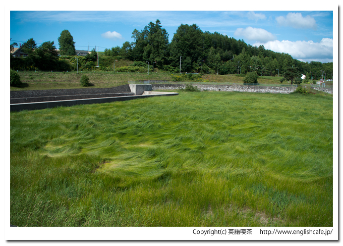 聖台ダム、堤体側から見る洪水吐（北海道美瑛町）