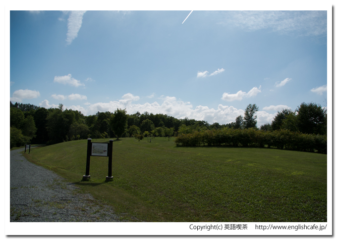 聖台ダム、ダム公園の緑（北海道美瑛町）