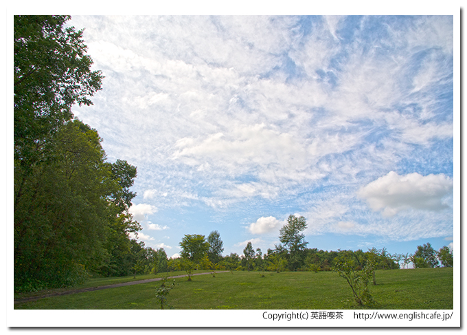 聖台ダム、ダム公園の緑と散策路（北海道美瑛町）