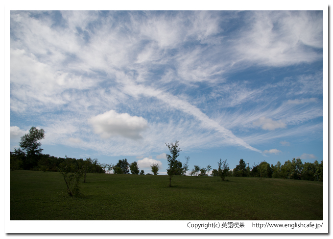 聖台ダム、ダム公園の緑と青い空（北海道美瑛町）