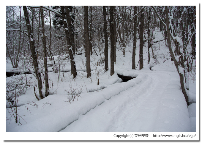 道南四季の杜公園（北海道函館市）