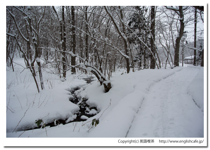 道南四季の杜、湿性植物園の中へ（北海道函館市）
