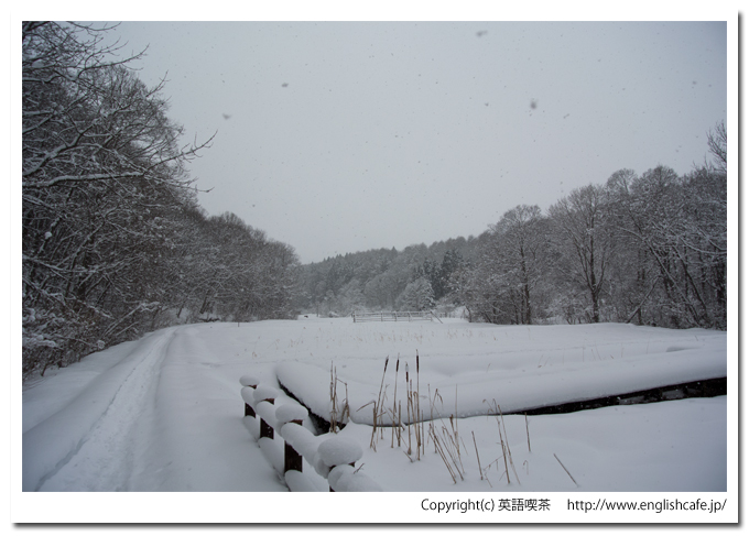 道南四季の杜、小川の里広場（北海道函館市）