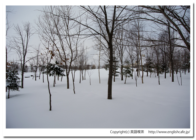 道南四季の杜公園丘の家（北海道函館市）