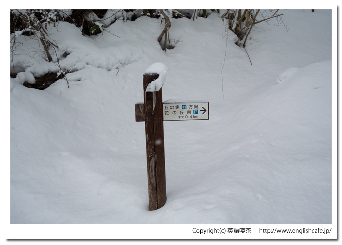 道南四季の杜、小川の里から（北海道函館市）