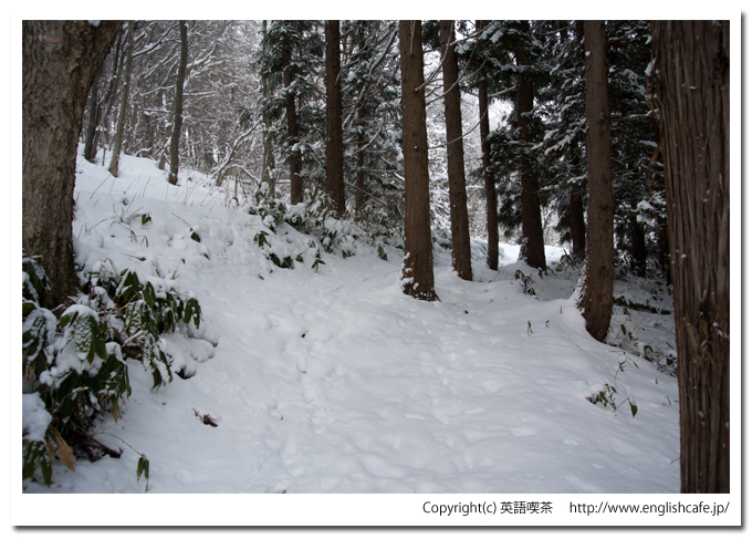 道南四季の杜、丘の家へ戻る（北海道函館市）