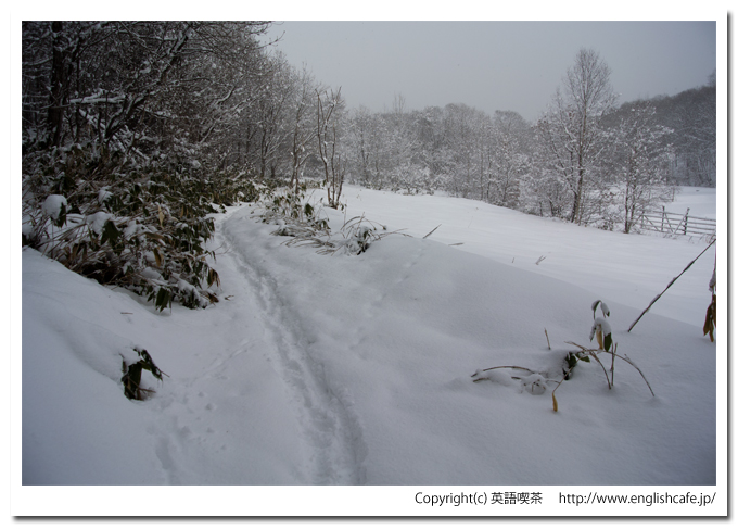 道南四季の杜、雪の細道（北海道函館市）