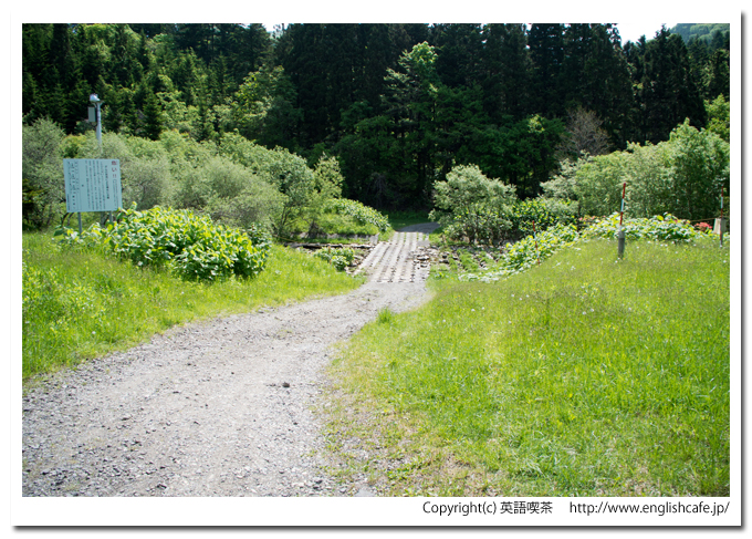 新中野ダムの洪水吐のほうへ（北海道函館市）