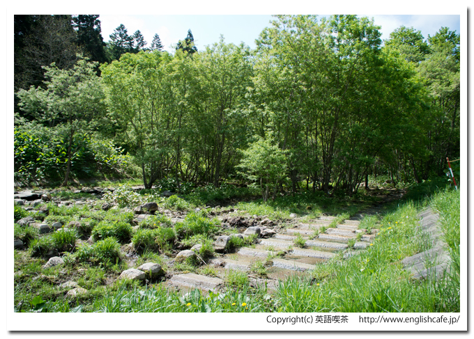 新中野ダムの下流域（北海道函館市）