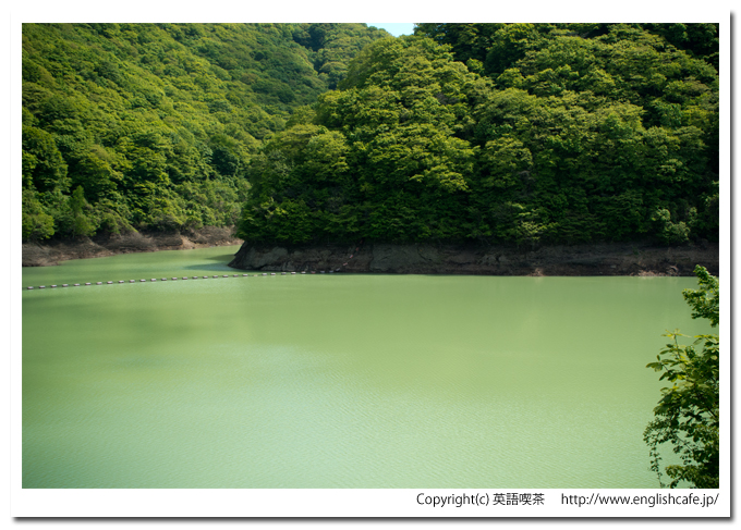 新中野ダムのダム湖です（北海道函館市）