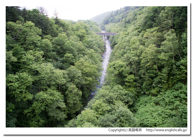 白ひげの滝、川の下流の先へ（北海道美瑛町）