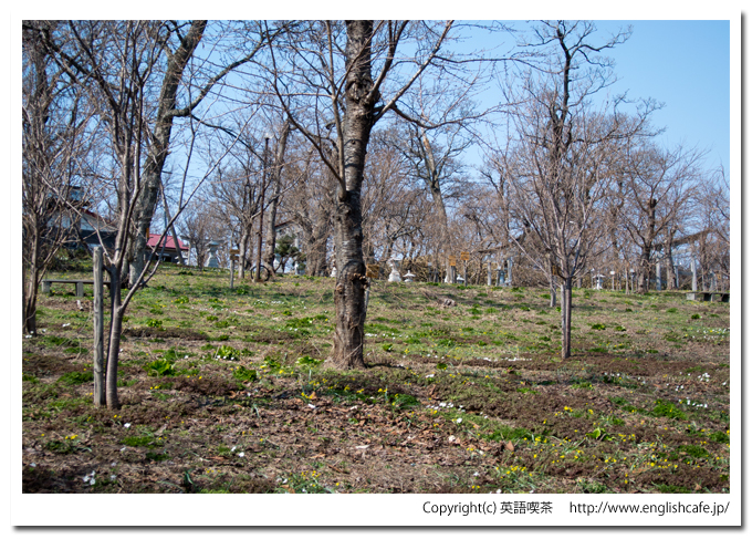 しびの岬公園から見る諏訪神社の案内板（北海道乙部町）