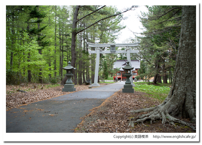 春の玉川神社の２つめの鳥居付近から（北海道久遠郡せたな町）