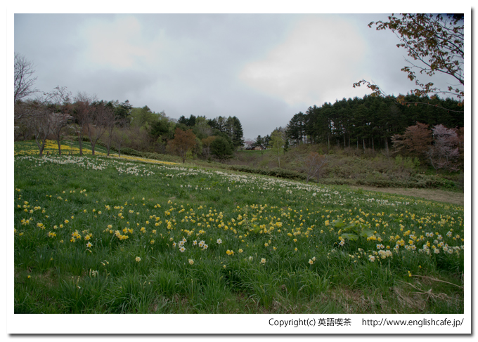 春の玉川公園からみる玉川神社（北海道久遠郡せたな町）