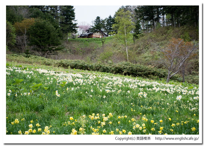 春の玉川公園からみる玉川神社をアップ（北海道久遠郡せたな町）
