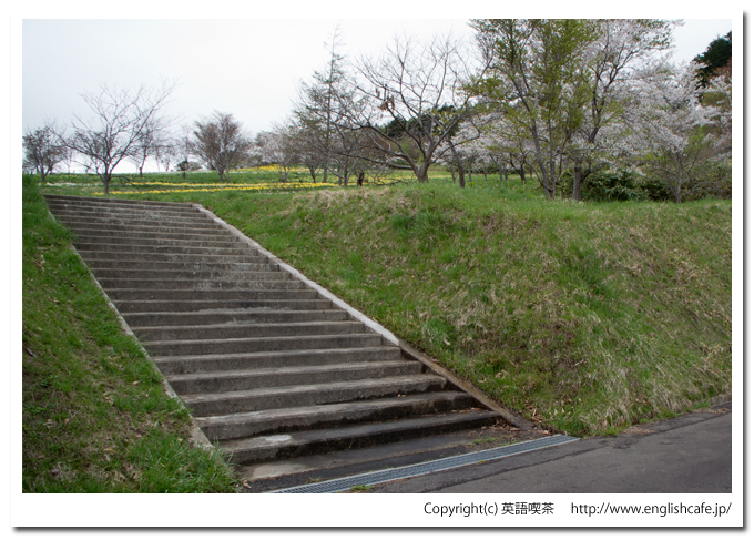 春の玉川公園、駐車場脇の階段から（北海道久遠郡せたな町）