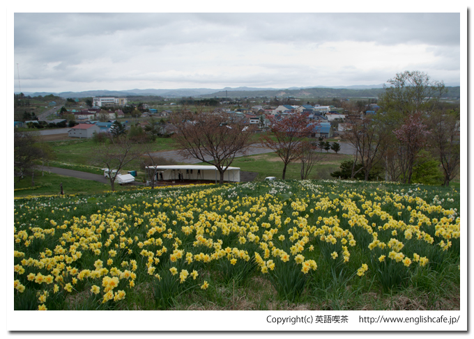 春の玉川公園、丘の上から（北海道久遠郡せたな町）