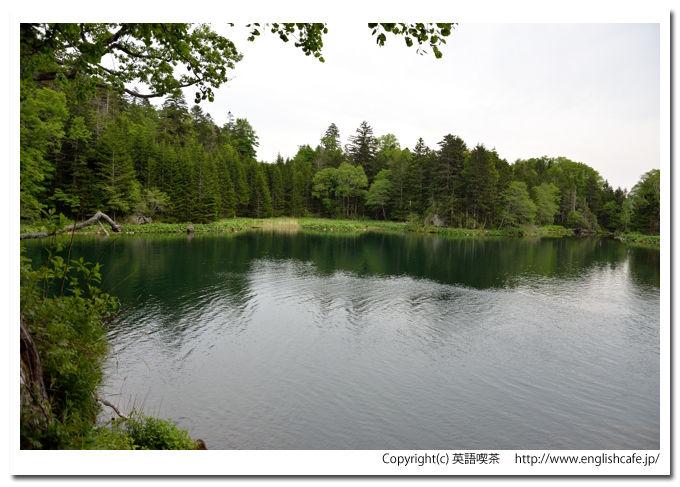 太郎湖、太郎湖の湖面左側（北海道阿寒町）