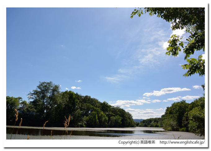 智恵文沼、智恵文沼と青空の風景（北海道名寄市）