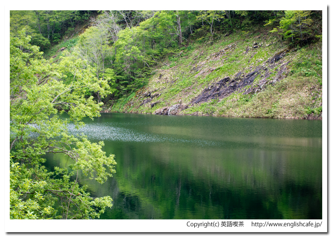 常盤ダムのダム湖を木々の間から（北海道赤井川村）