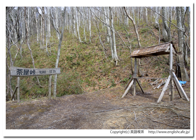 江戸時代の古道（殿様街道） 、ブナの巨木からさらに登って（北海道松前郡福島町）