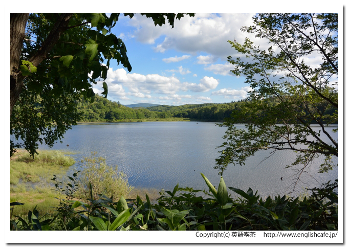 忠烈布ダムと自然公園、ふうれん望湖台自然公園の散策路から見る忠烈布湖（北海道名寄市）