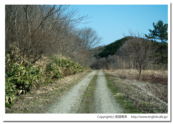 うぐい川ダムへの道（北海道檜山郡江差町）