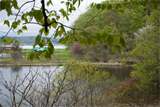 浮島公園とうぐい沼（北海道久遠郡せたな町）