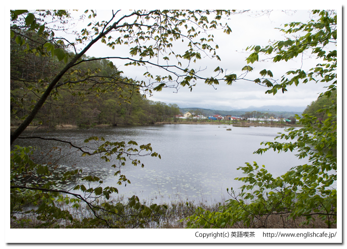 うぐい沼の湖面が再び現れました（北海道久遠郡せたな町）
