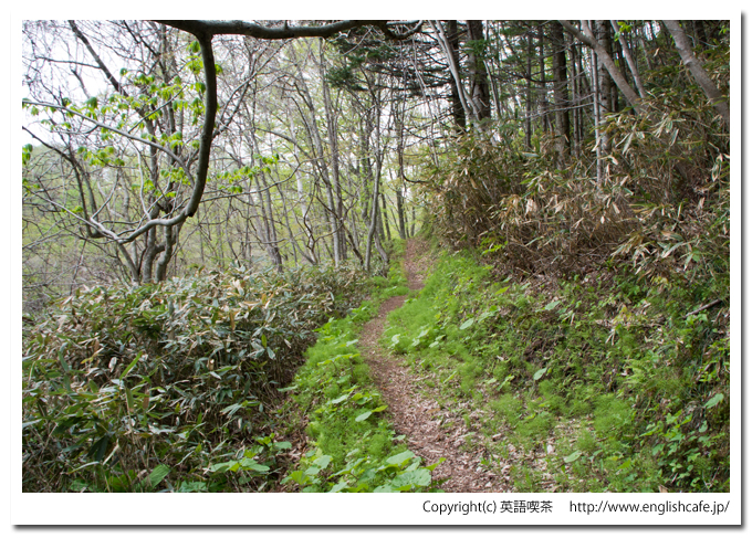 うぐい沼散策路の終わり付近（北海道久遠郡せたな町）