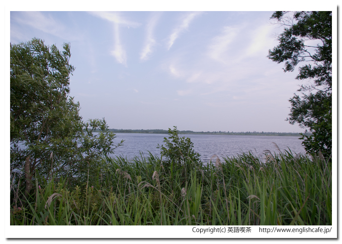 ウトナイ湖、東屋付近から見るウトナイ湖の湖面（北海道苫小牧市）