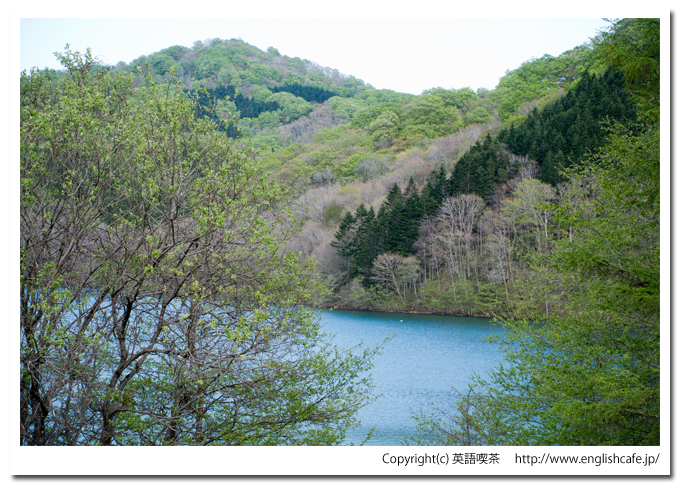 矢別ダム、堤体前のダム湖右側（北海道函館市）