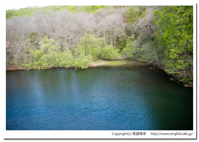 矢別ダムの林道からダム湖（北海道函館市）