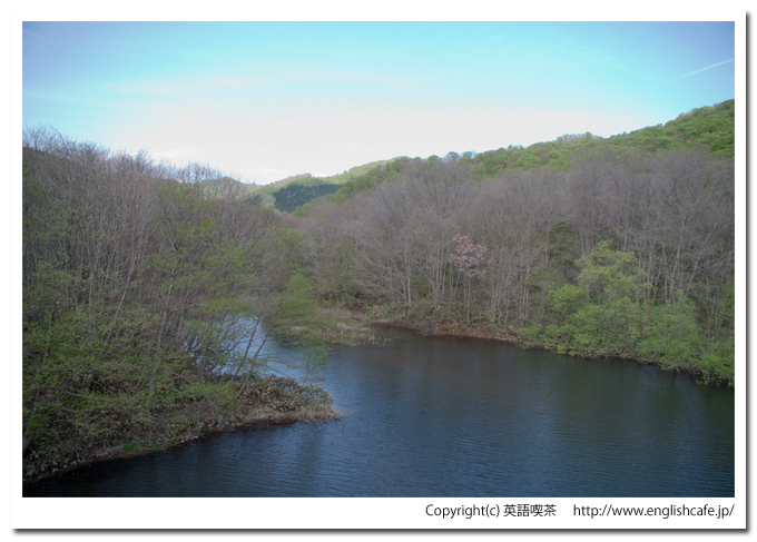 矢別ダムの林道橋からダム湖を見る（北海道函館市）