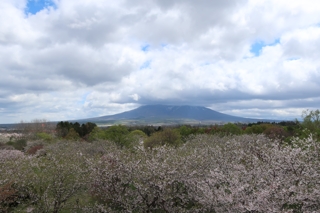 オニウシ公園・青葉ヶ丘公園