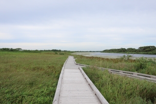 サロベツ湿原